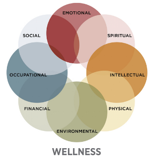 Whole Person Care